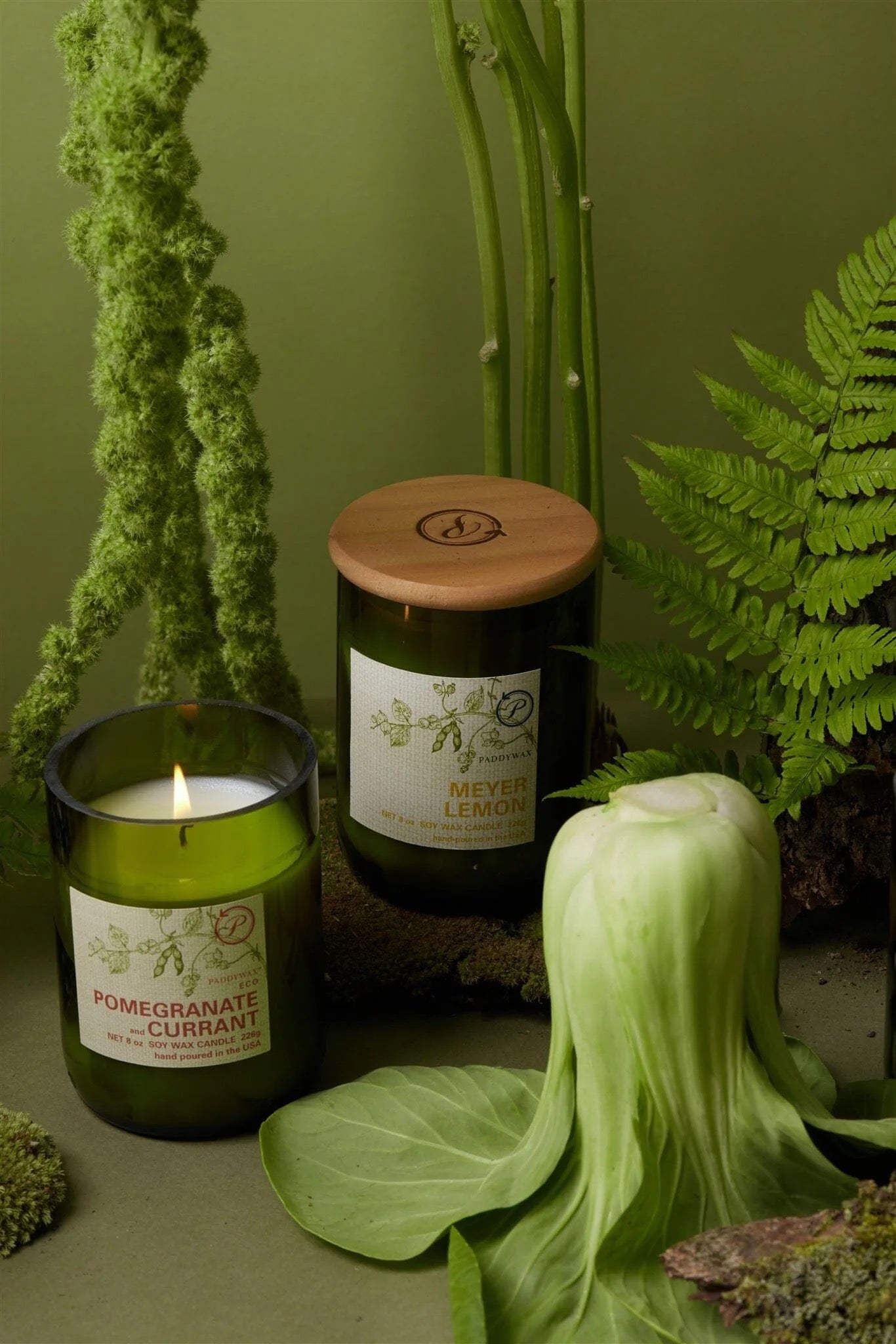 Paddywax - Eco 8 oz Candle / Meyer Lemon
