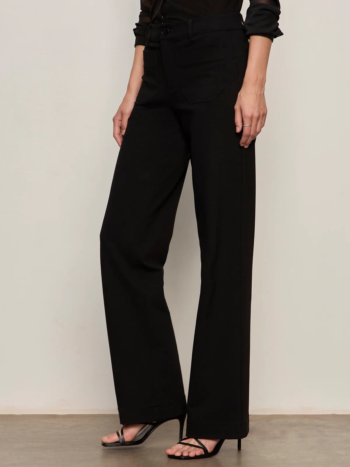 Sanctuary - Marine Ponte Pant / Black