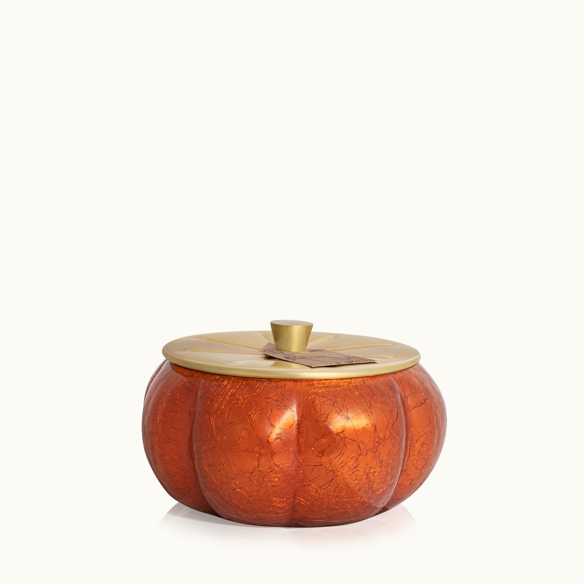 Thymes - Pumpkin Laurel Large Candle