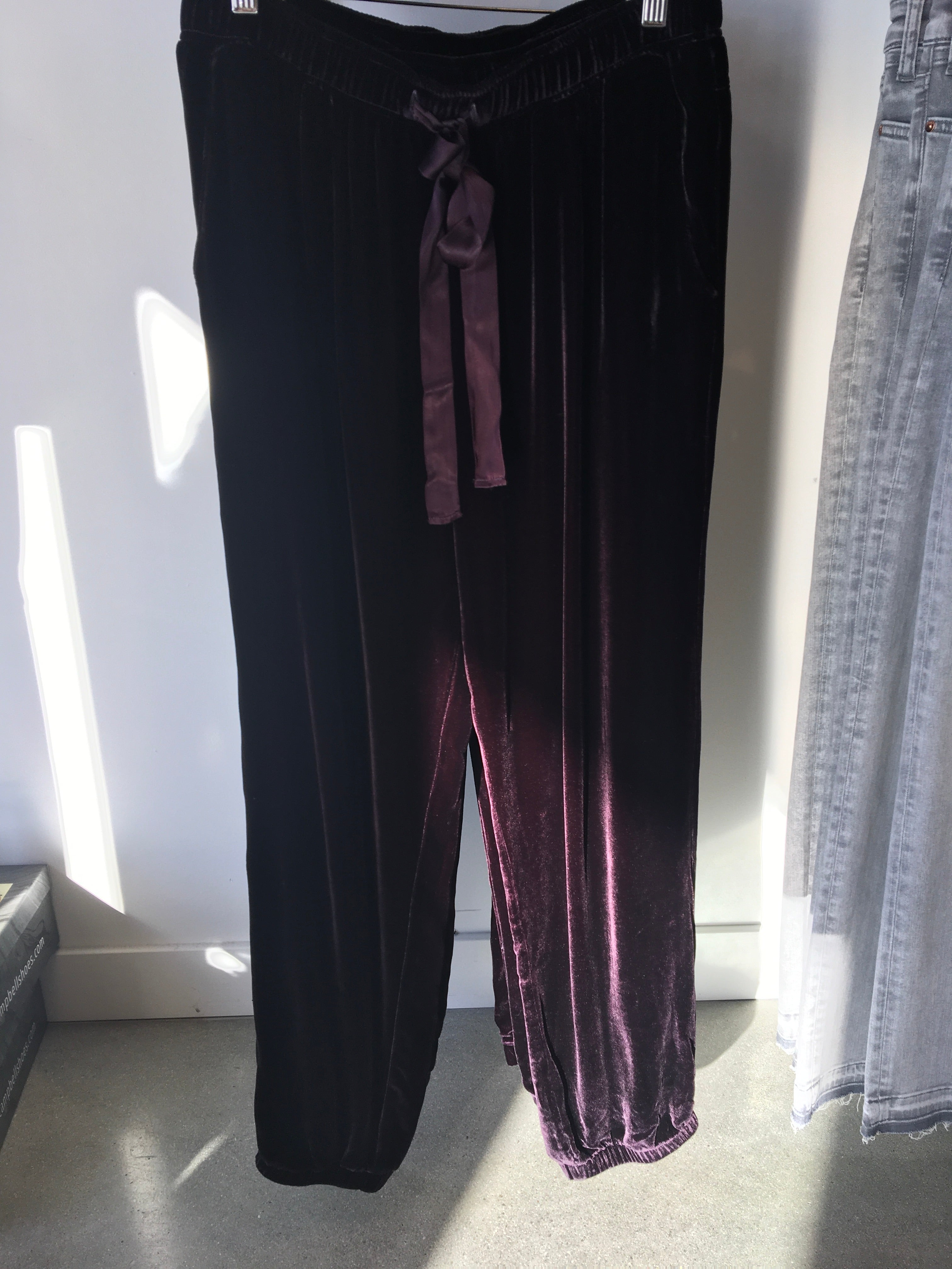 Bella Dahl - Velvet Pleat Front Jogger / Currant